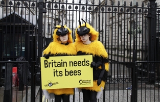 foe-bees-campaign